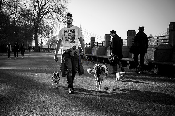 Dog Walker