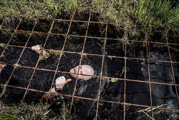 Born Survivor