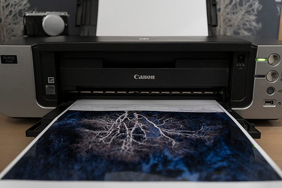 003 - New Print